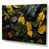 Wrapped Canvas
