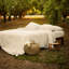 Sheet Set-574121727-574121699