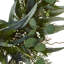 Faux Eucalyptus Polyester 24'' Wreath