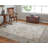 Neoma Oriental Indoor Rug-254762295