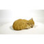 Statue de chat tigré couché et endormi-120494457