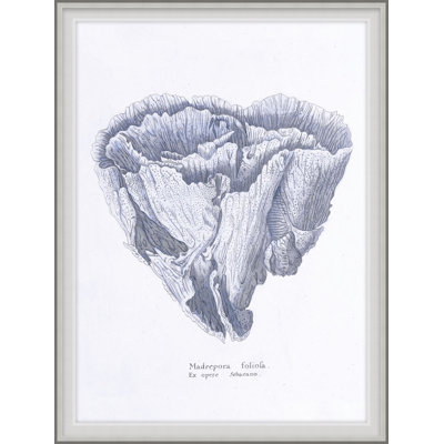 Cultivated Antiquity 4 Framed Print