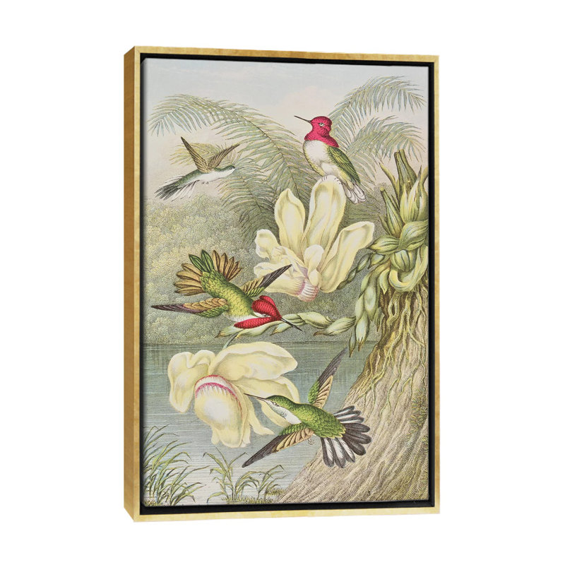 «Humming Birds parmi les fleurs tropicales» par English School - impression d'art graphique, H 40 po x l 26 po x P 1,5 po