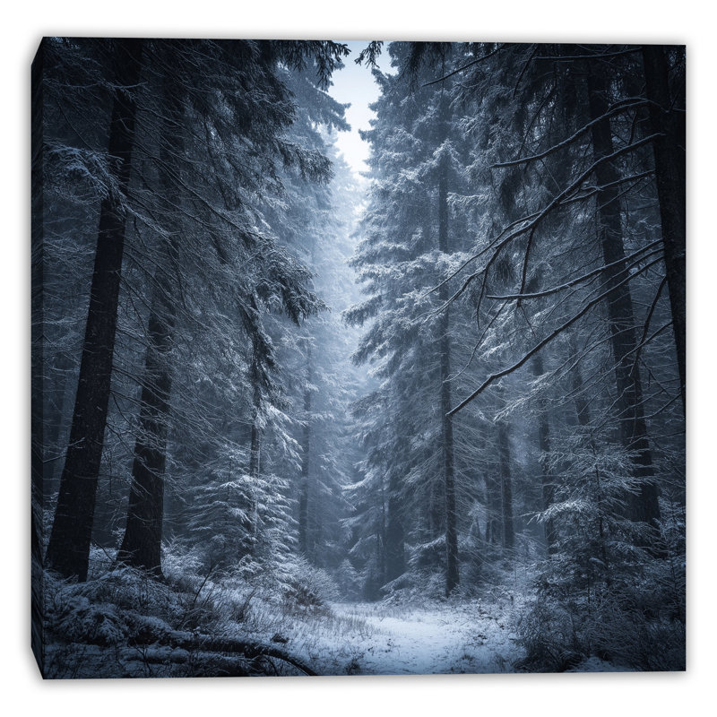 Neige recouverte de pin, art mural sur toile tendue, 12 po x 12 po