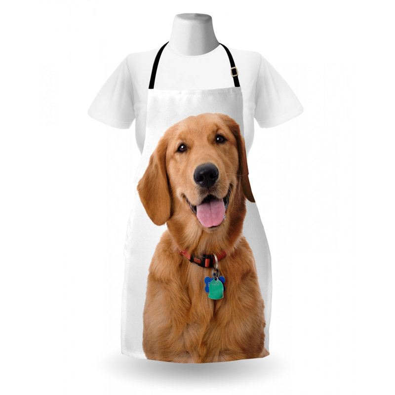 Tablier de golden retriever