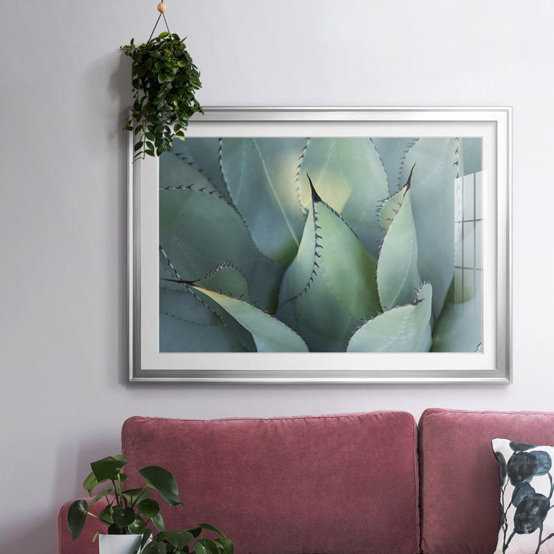 «Blue Agave I», impression sur papier, H 30 po x l 44 po x P 1,5 po, Argent