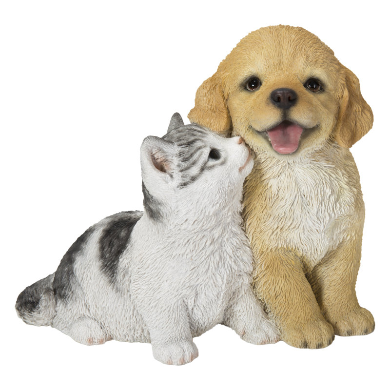 Golden Retriever et chaton