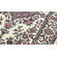 Wool Oriental Area Rug
