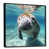 Black Floater Framed