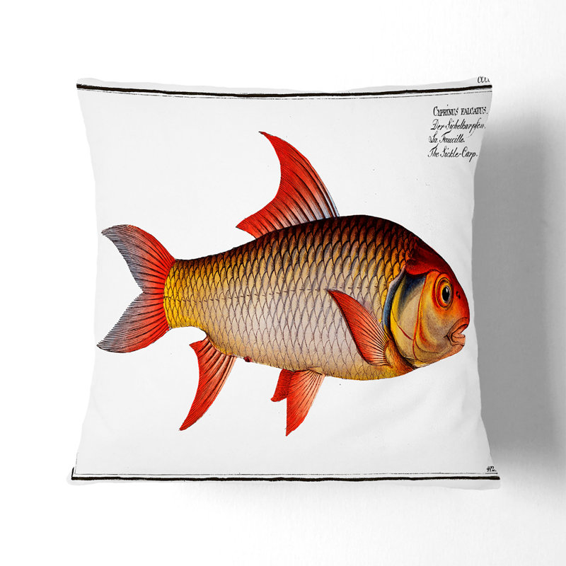 Square Cushion, 55cm H x 55cm W x 20cm D, Black