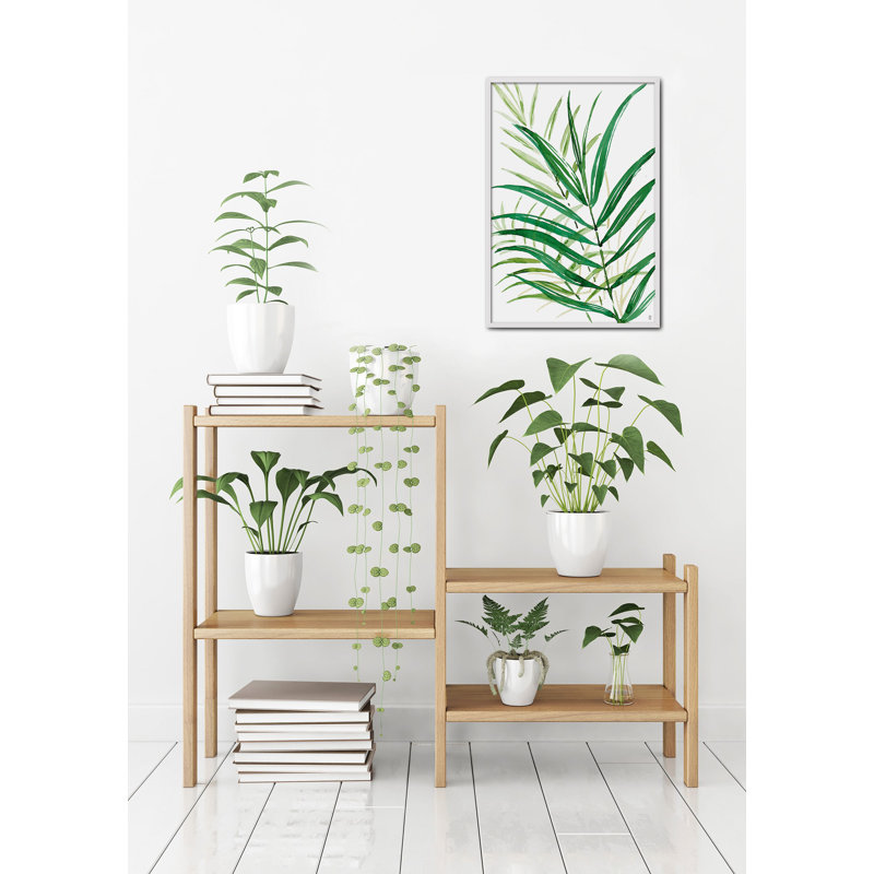 Nature Planta Ortiz VI by César Ortiz Echagüe - Single Picture Frame Painting, 120cm H x 80cm W x 3cm D