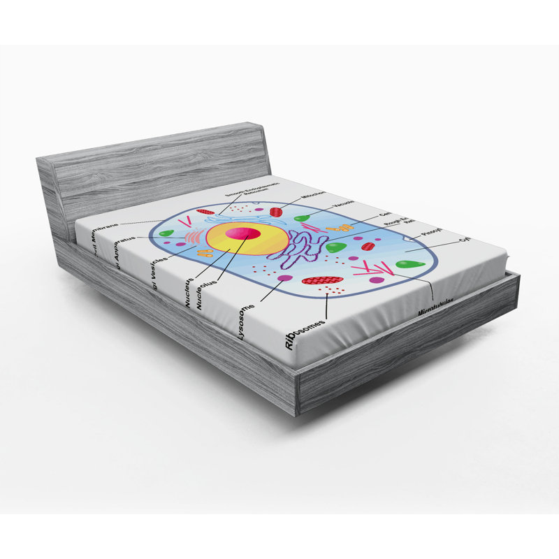 Drap-housse éducatif, Drap-housse grand