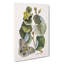 Butterfly & Mano Tree by Mark Catesby - Wrapped Canvas Painting-55312941