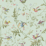 Cole & Son Selection Of Hummingbirds Floral Wallpaper Roll