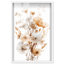 «Parchment Petals Shadowbox Print», art floral élégant par Art Remedy