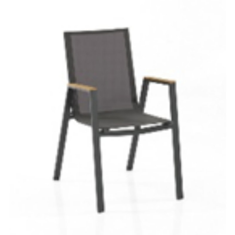 Erlandas Patio Dining Side Chair with Cushion