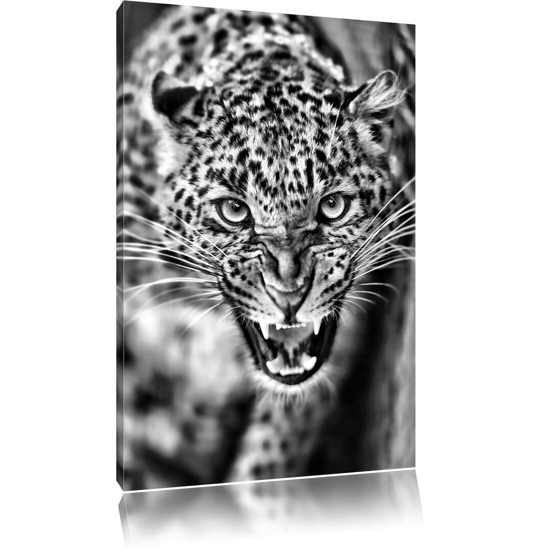 Leinwandbild Fauchender Leopard in Monochrom