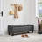 Riella Polyester Upholstered Storage Bench-1563742802