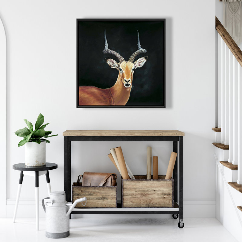 " Antelope "