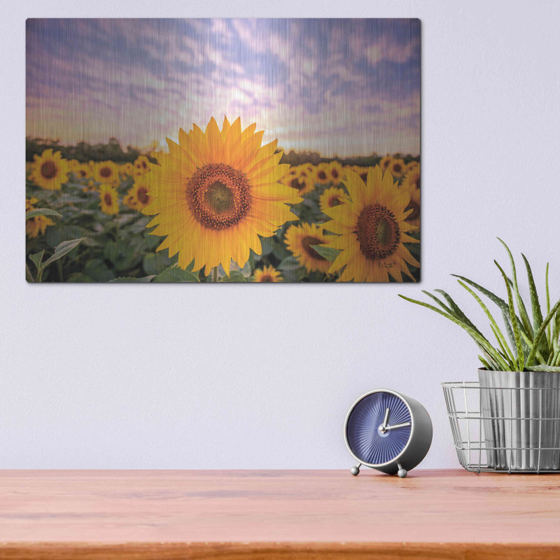 «Sunflower Sunset» par Donnie Quillen