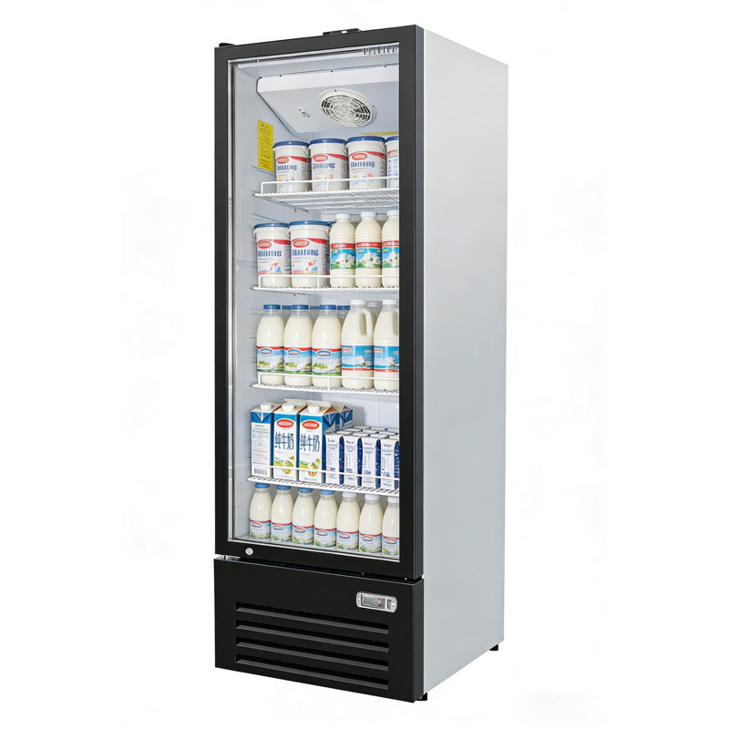 VITLIFE 16.9 Cu.Ft. Commercial Merchandiser Refrigerator, One Glass Door Display Refrigerator with Adjustable Shelves and LED Light, Auto Defrost, ETL Listed