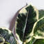 40cm Faux Plant in Planter