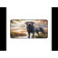 Polyester Desk Pad-139967790