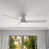Matte White Natural Wood selected