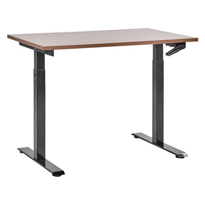 Nateasha Adjustable Metal Base Standing Desk