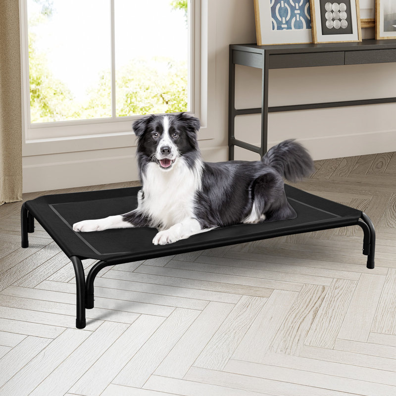 Lit pour chien surélevé intérieur / extérieur avec pieds antidérapants, TG, Noir