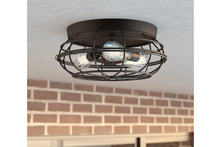 flush mount caged ceiling light