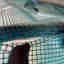Photos des clients 2 de 2