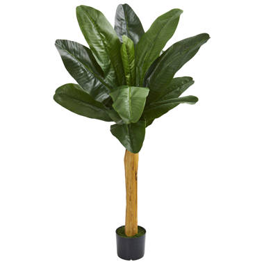 Bay Isle Home Triple Stalk Banana Leaf Tree in Pot, Green