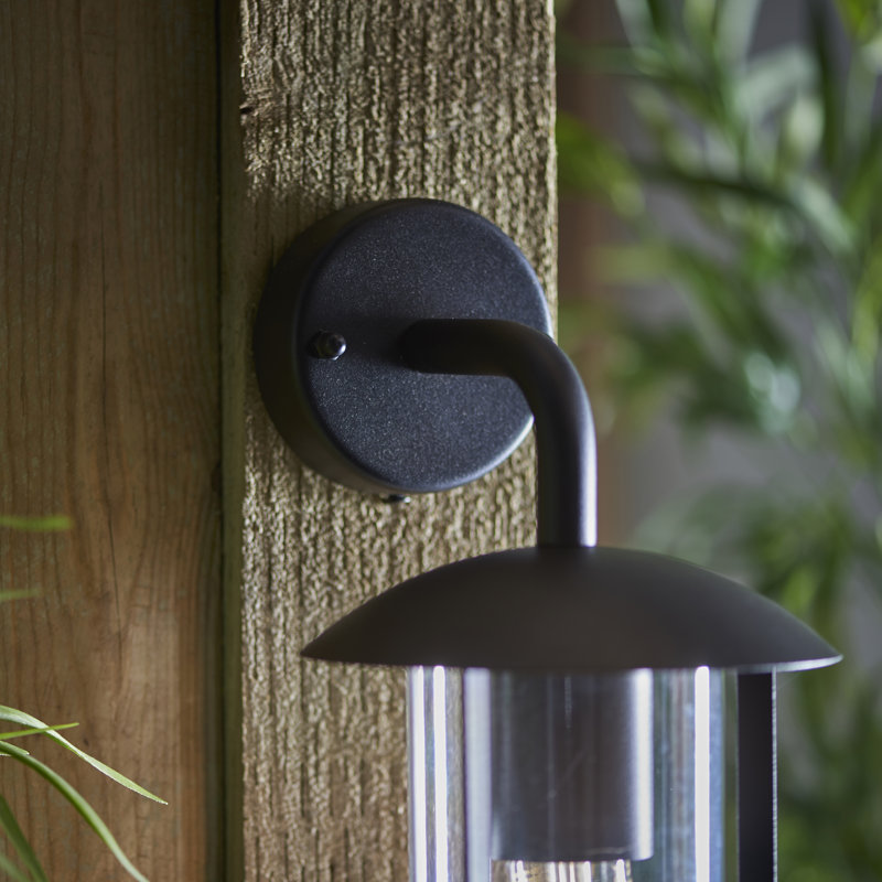 Crissyfield 24cm H Outdoor Wall Lantern