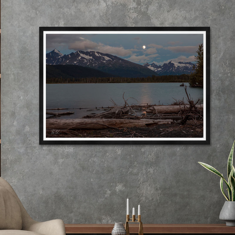 Bois flottant clair de lune I, Noir, H 35,5 po x l 54,75 po x P 1,5 po