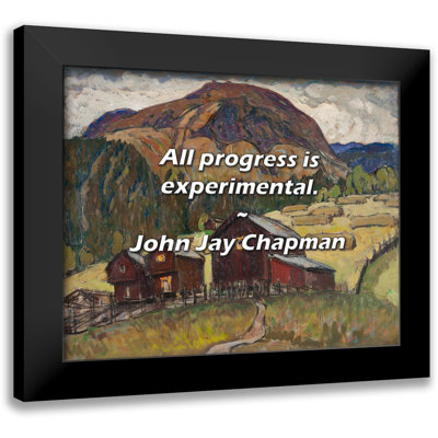 John Jay Chapman Quote: All progress is experimental.