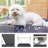 Professional Electric Grooming Table-94466602
