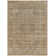 Benson Oriental Indoor Rug