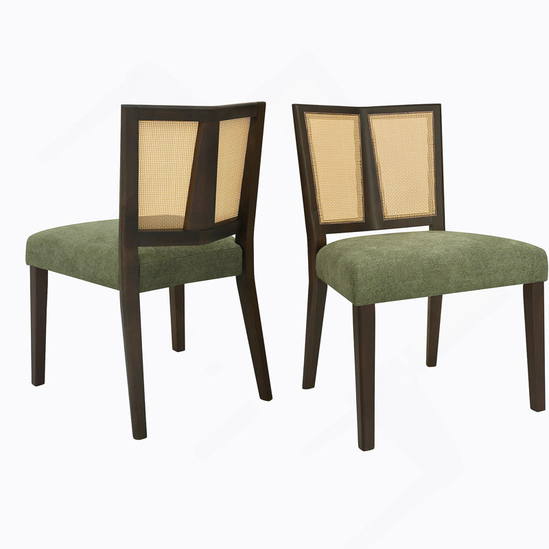 Ensemble de 2 chaises en rotin sans accoudoirs (brun foncé et vert), Vert, Marron foncé