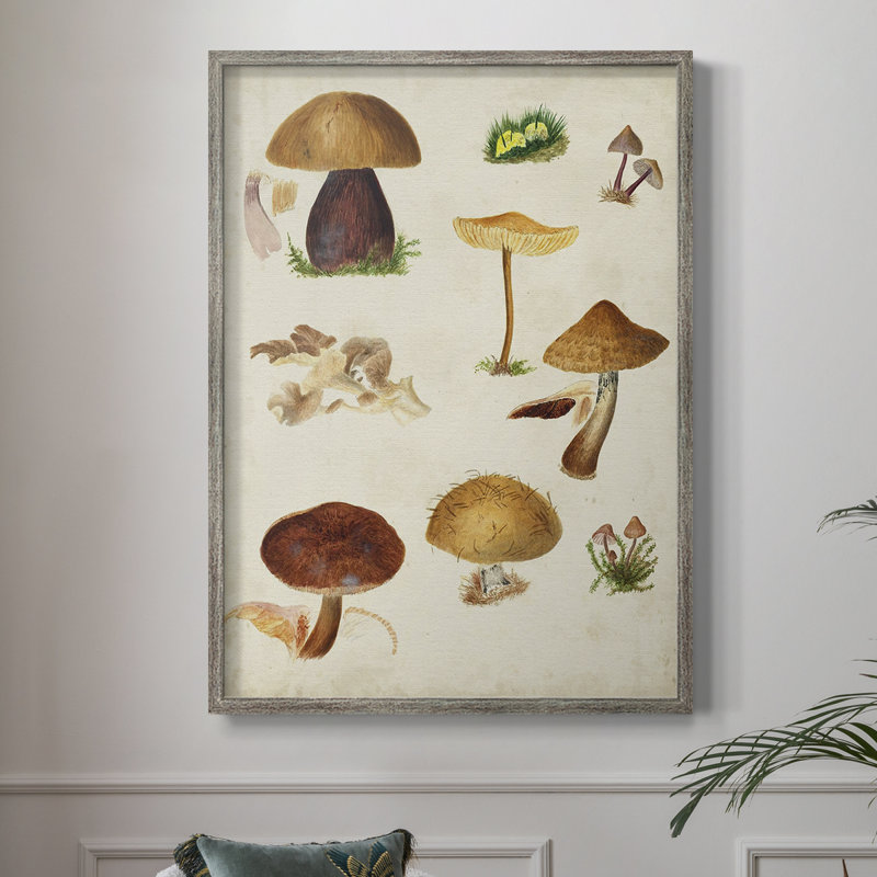 Reproduction encadrée champignon Mushroom Species II, H 11 po x l 9 po