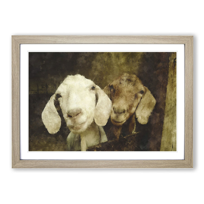 Pair of Goats - Framed Print, Oak Framed, 48cm H x 65cm W x 2cm D