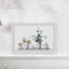 Simply White by Parvez Taj - Picture Frame Print on Paper-906739519