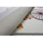 Guernon White/Brown Rug