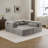 Compression Mahjong Sofa,Convertible Floor Sofa Bed,DIY Boneless Modular Sectional Sofa,No Assembly Required,Circle Fleece Fabric,Oversized 3 Seater With 1 Ottoman,Light-Grey-2047249840