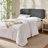 Chastelyne Upholstered Easy Assemble Wall Mounted Headboard-127316939-127316943