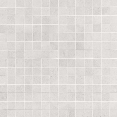 New Rock 2X2 Matte Porcelain Mosaic