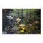 Calypso So Outdoor Suspension Lamp-236336563