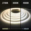 Outdoor 300 - Bulb 196.8" Plug-In LED Rope String Light
