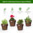 Edalene Wood Barrel Planter