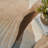 Abstract Hand Tufted Rectangle 7'9" x 9'9" Viscose Area Rug in Beige-88749808
